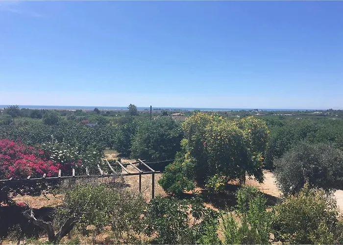 Quinta Rosa Branca بيت ضيافة تافيرا